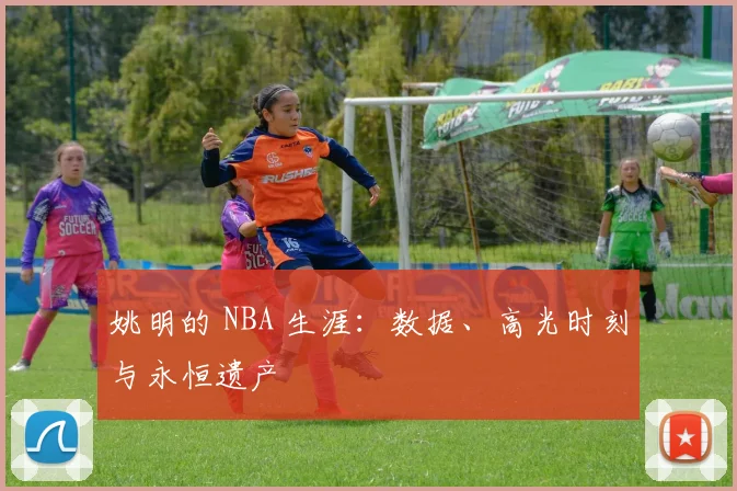 姚明的 NBA 生涯：数据、高光时刻与永恒遗产